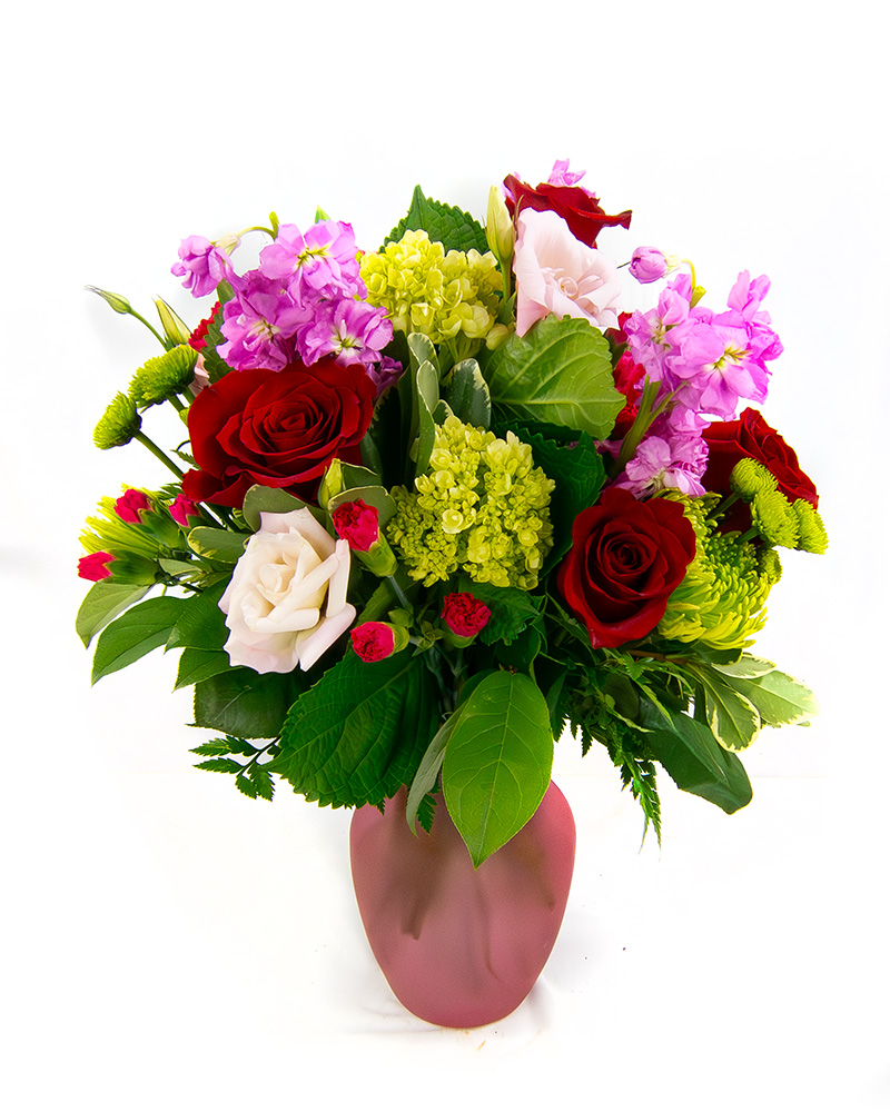 <b>Notice</b>: Undefined index: name in <b>/home/stranges/public_html/shop/vqmod/vqcache/vq2-catalog_view_theme_default_template_product_search.tpl</b> on line <b>388</b>